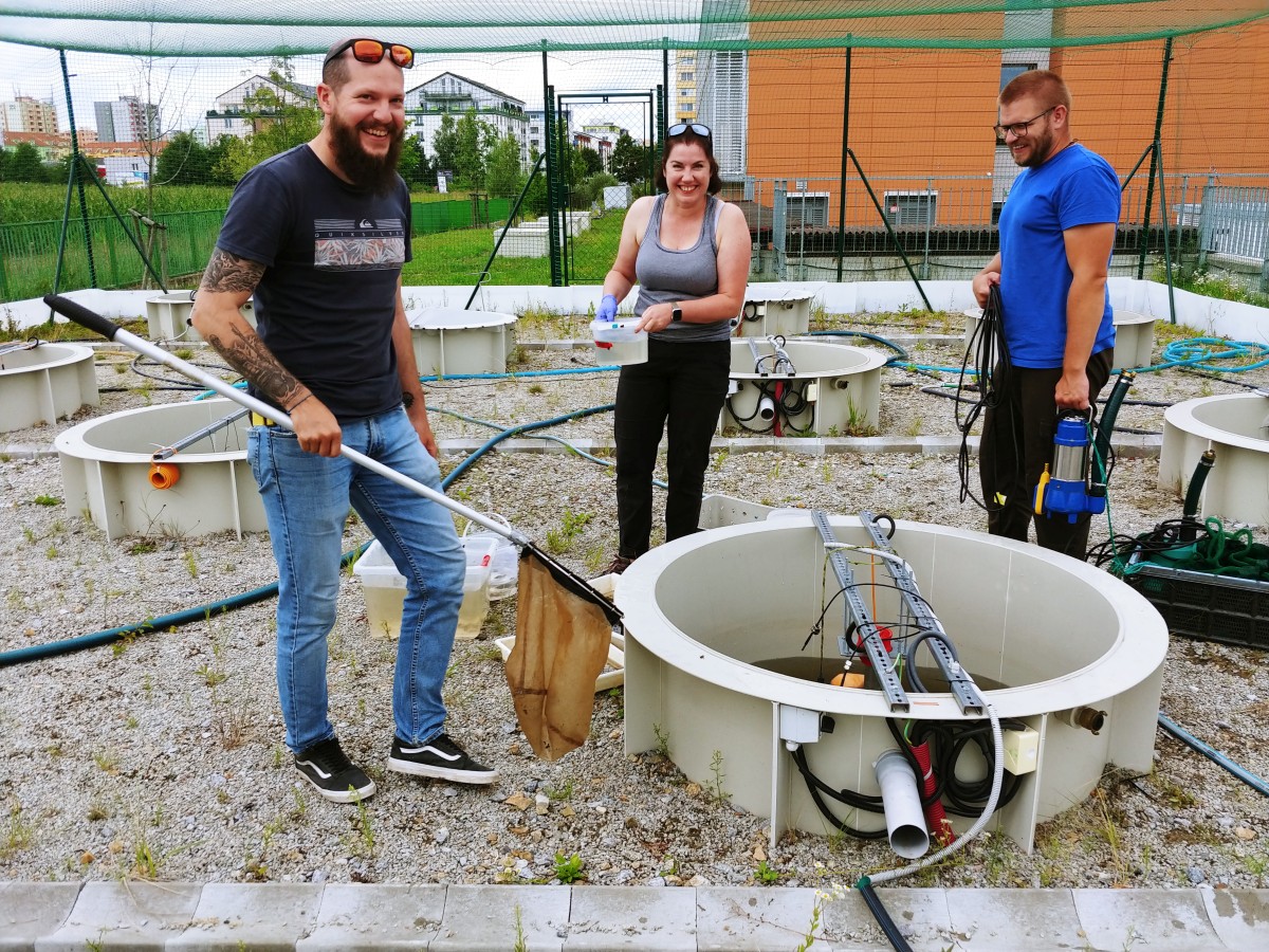 Andras, Calire and Vojta at mesocosms